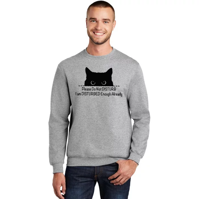 Please Do Not Disturb I Am Disturbed Enough Already Tall Sweatshirt