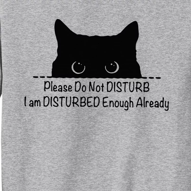 Please Do Not Disturb I Am Disturbed Enough Already Tall Sweatshirt