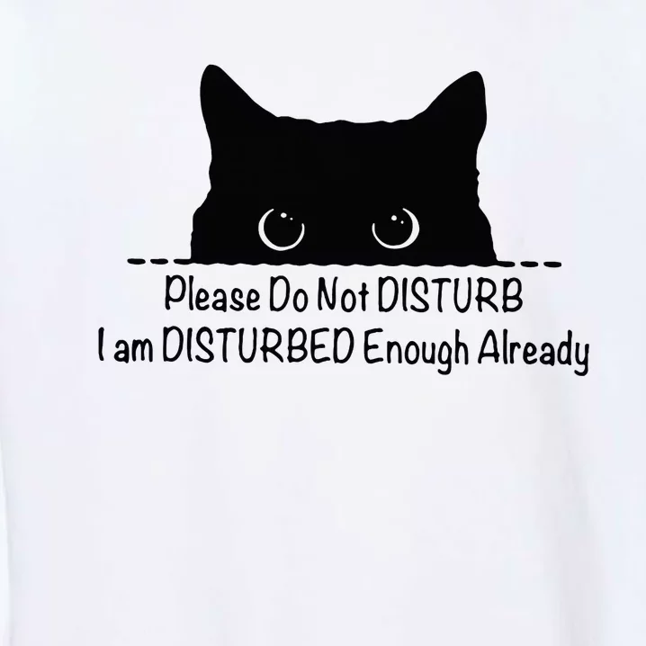 Please Do Not Disturb I Am Disturbed Enough Already Garment-Dyed Sweatshirt