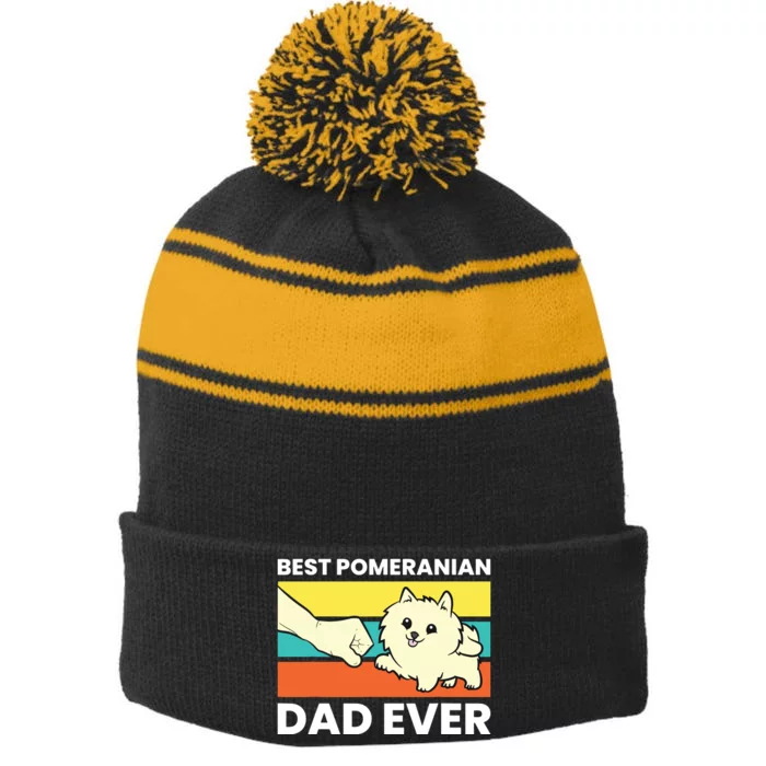 Pomeranian Dog Owner Best Pomeranian Dad Ever Stripe Pom Pom Beanie