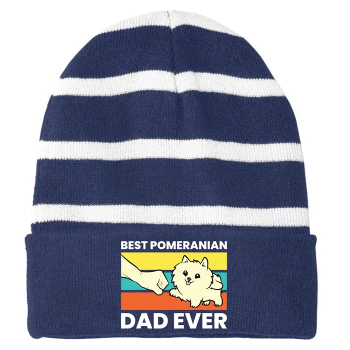 Pomeranian Dog Owner Best Pomeranian Dad Ever Striped Beanie with Solid Band