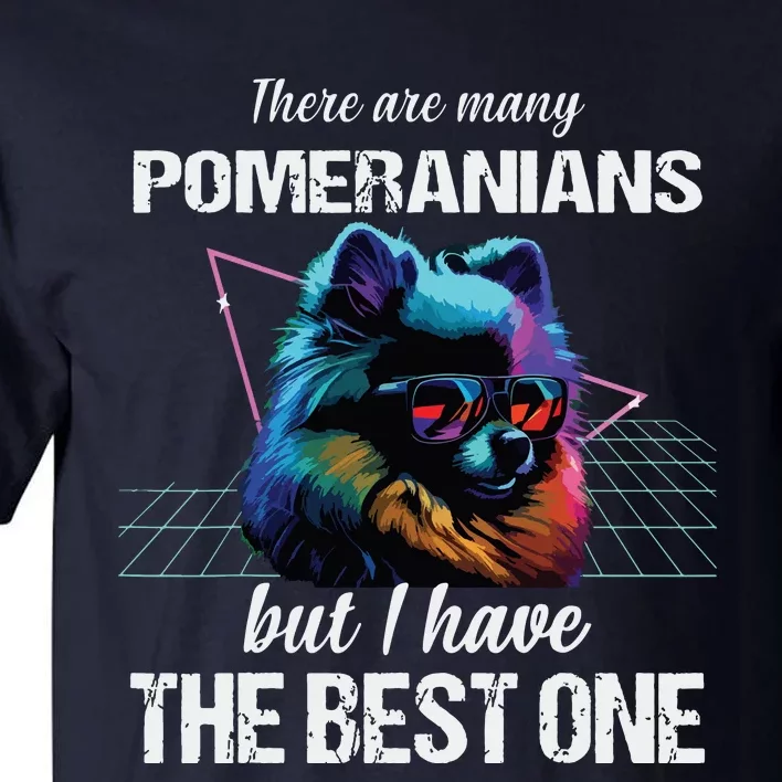 Pomeranian Dog Pomeranians Tall T-Shirt