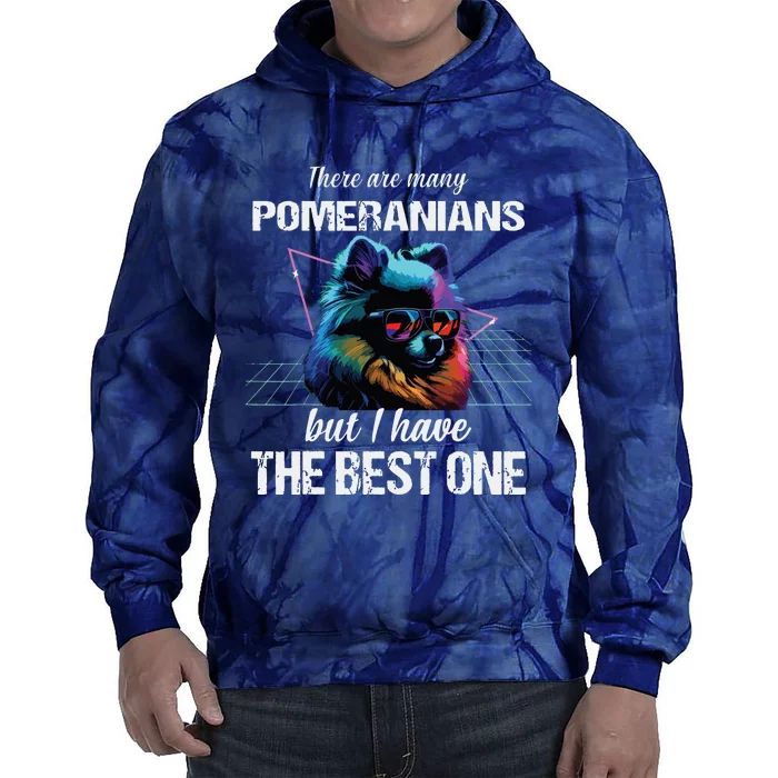 Pomeranian Dog Pomeranians Tie Dye Hoodie