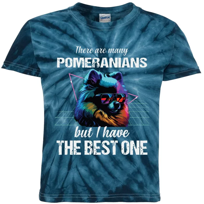 Pomeranian Dog Pomeranians Kids Tie-Dye T-Shirt