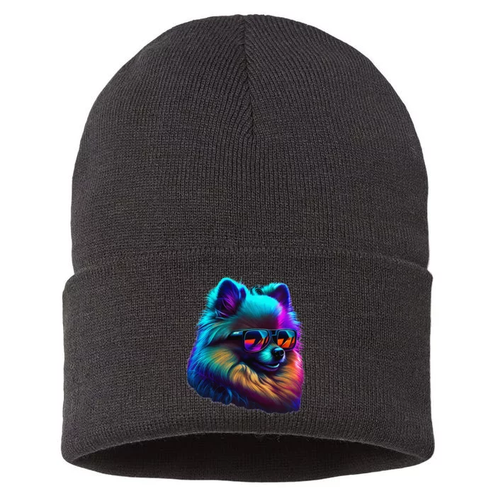 Pomeranian Dogs Pomeranians Sustainable Knit Beanie