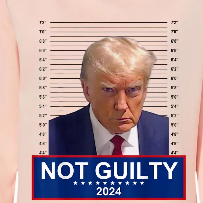 President Donald Trump Mugshot 2024 Not Guilty Supporter T Not Guilty Supporter Womens California Wash Sweatshirt