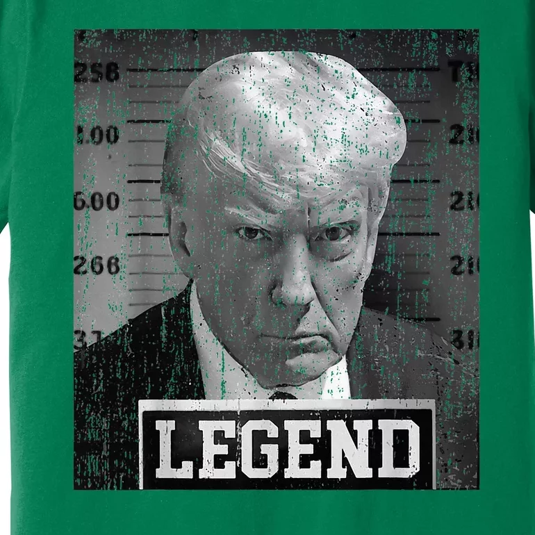 President Donald Trump Mugshot 2024 Not Guilty Supporter Premium T-Shirt