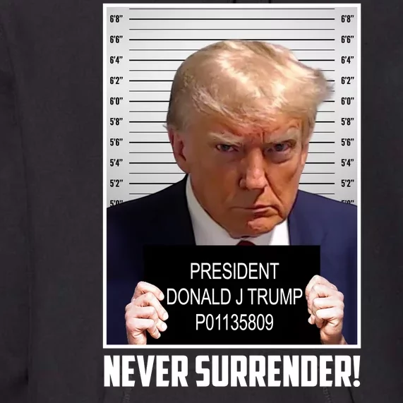 President Donald Trump Mugshot Never Surrender Premium Hoodie