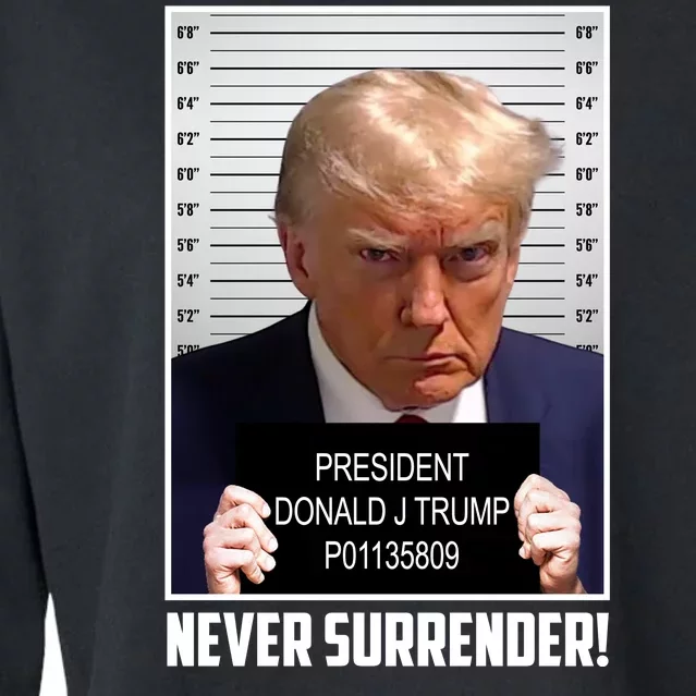 President Donald Trump Mugshot Never Surrender Cropped Pullover Crew