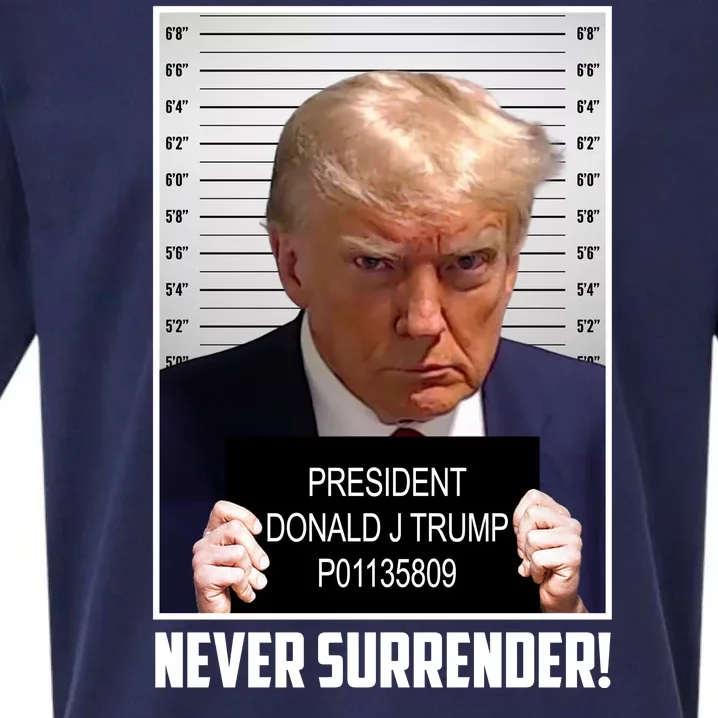 President Donald Trump Mugshot Never Surrender Sueded Cloud Jersey T-Shirt