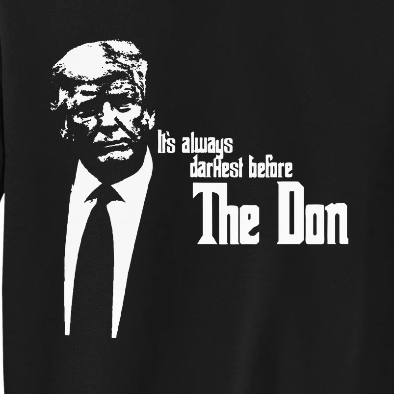 President Donald Trump “The Don” Funny Political 2024 Sweatshirt