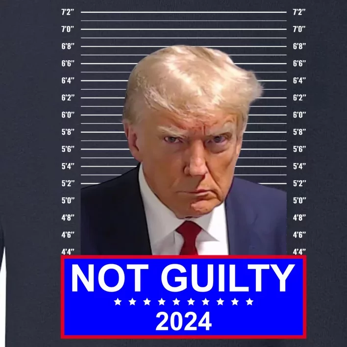 President Donald Trump Mugshot 2024 Not Guilty Toddler Sweatshirt