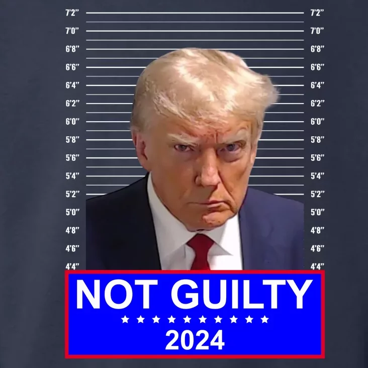 President Donald Trump Mugshot 2024 Not Guilty Toddler Hoodie