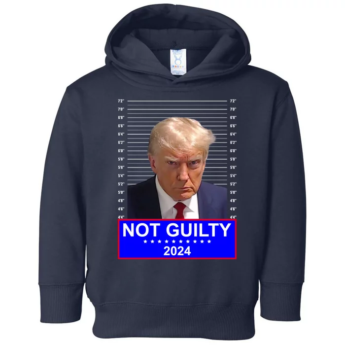 President Donald Trump Mugshot 2024 Not Guilty Toddler Hoodie