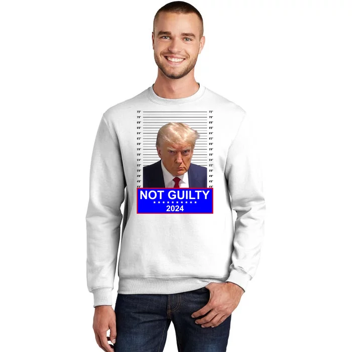 President Donald Trump Mugshot 2024 Not Guilty Sweatshirt