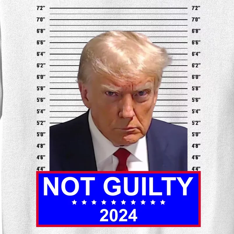 President Donald Trump Mugshot 2024 Not Guilty Sweatshirt