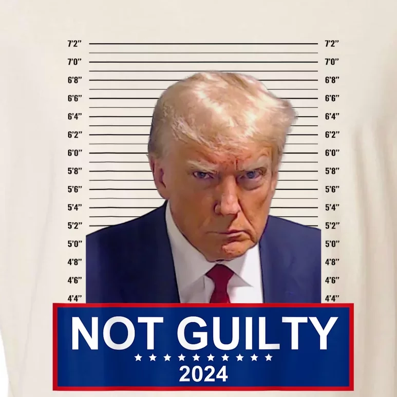 President Donald Trump Mugshot 2024 Not Guilty Supporter Garment-Dyed Women's Muscle Tee