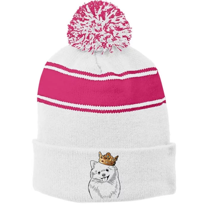 Pomeranian Dog Wearing Crown Stripe Pom Pom Beanie