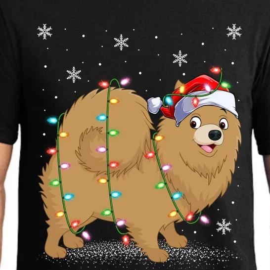 Pomeranian Dog Xmas Lighting Santa Pomeranian Christmas Gift Pajama Set