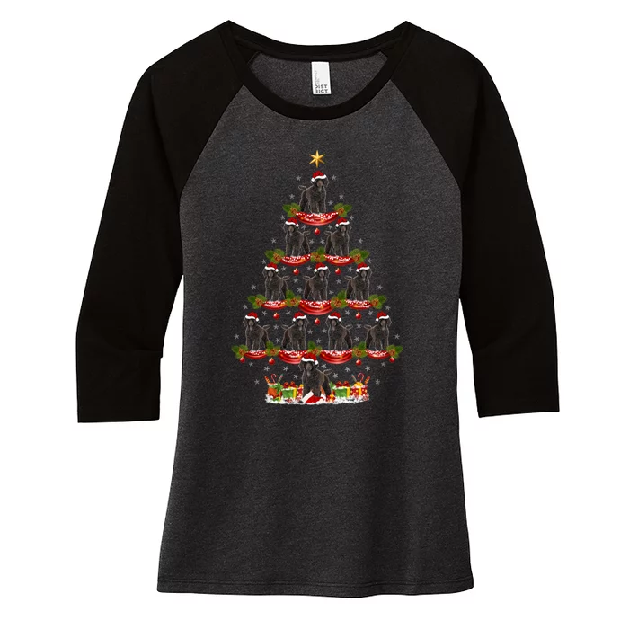 Poodle Dog Xmas Tree Lighting Poodle Christmas Tree Funny Gift Women's Tri-Blend 3/4-Sleeve Raglan Shirt