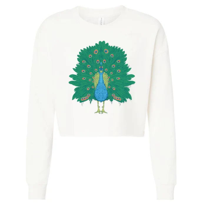 Peacock Bird Cropped Pullover Crew