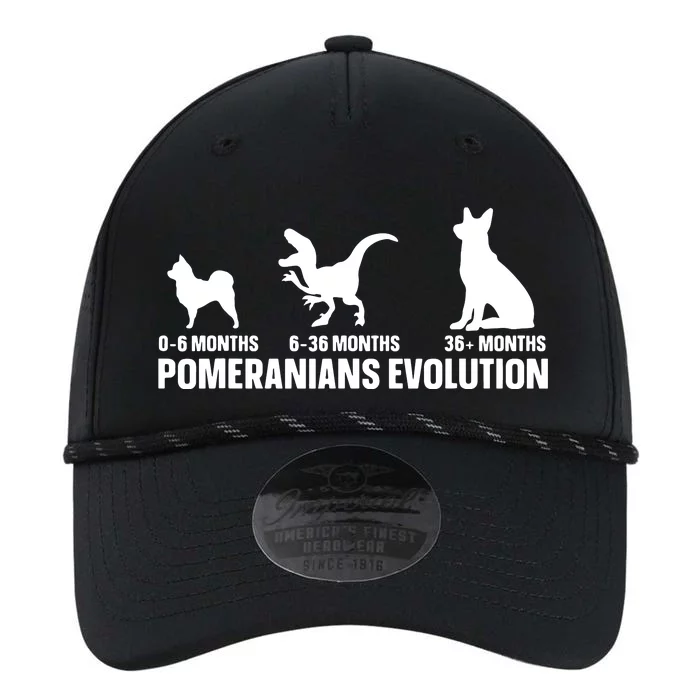 Pomeranians Evolution Design For A Pomeranian Owner Performance The Dyno Cap