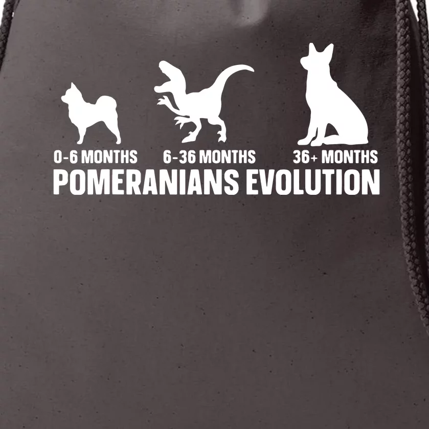 Pomeranians Evolution Design For A Pomeranian Owner Drawstring Bag