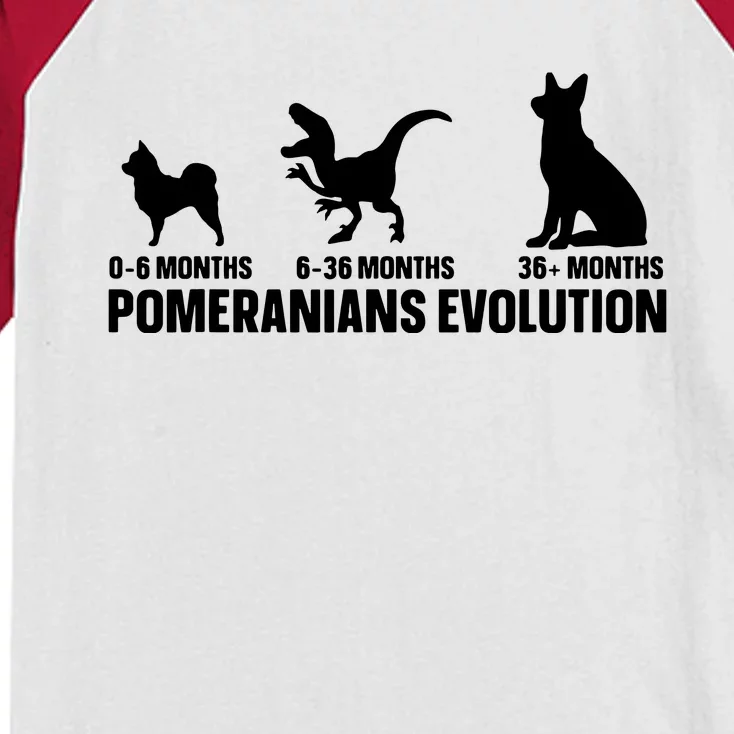 Pomeranians Evolution Design For A Pomeranian Owner Kids Colorblock Raglan Jersey