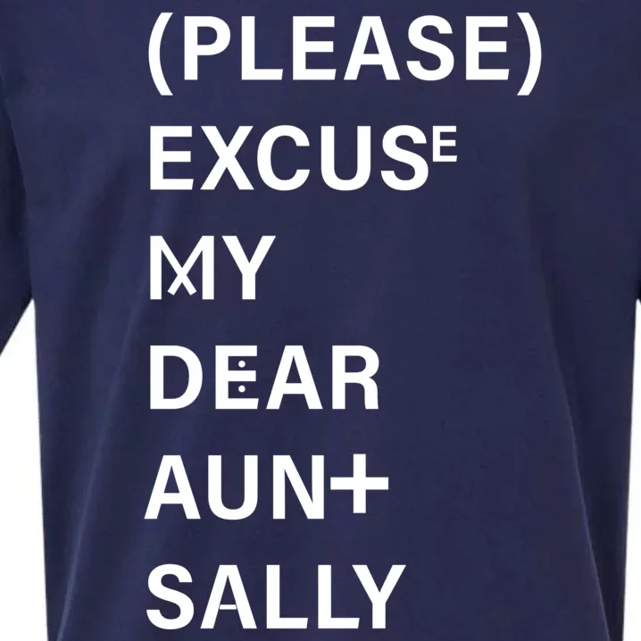 PEMDAS Please Excuse My Dear Aunt Sally Sueded Cloud Jersey T-Shirt