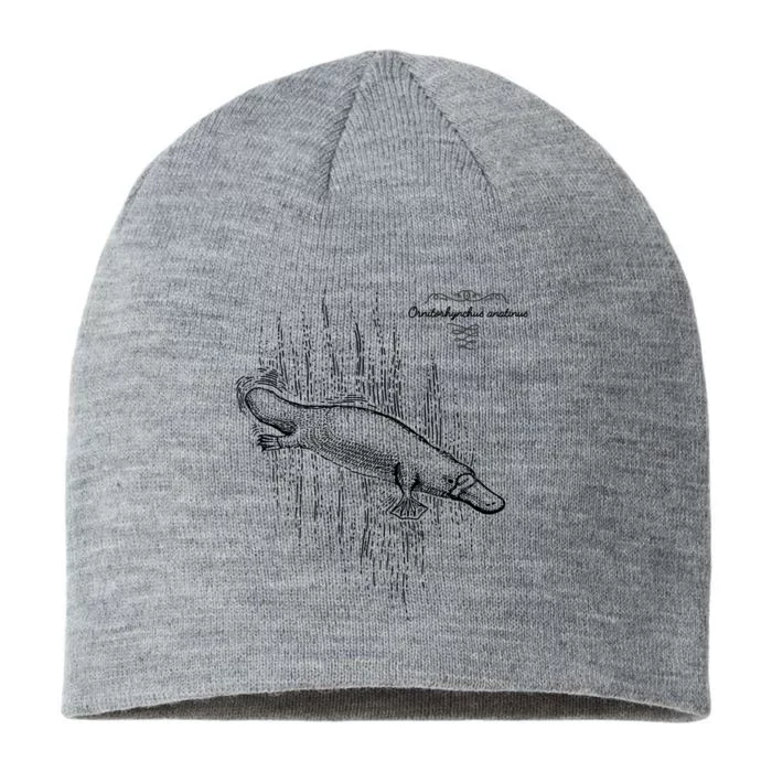 Platypus Engraved 8 1/2in Sustainable Knit Beanie