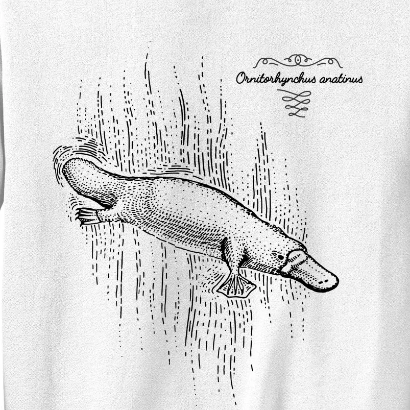 Platypus Engraved Sweatshirt