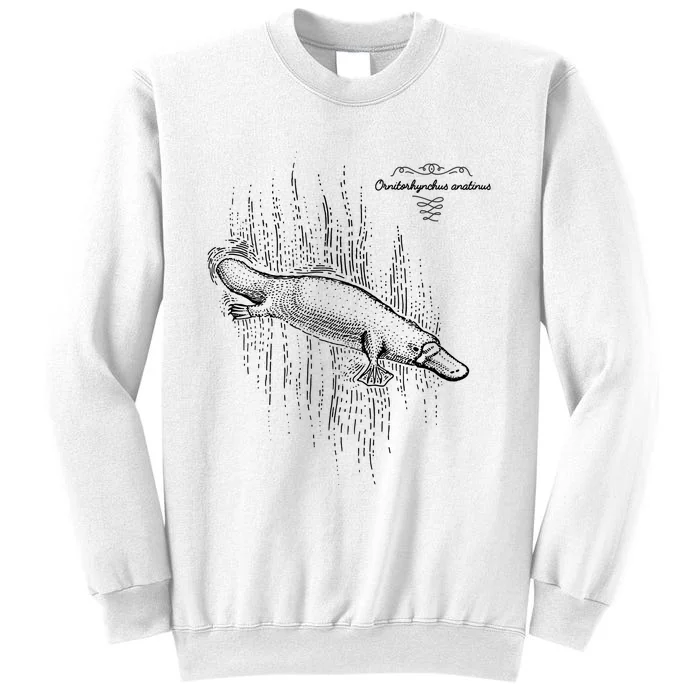 Platypus Engraved Sweatshirt