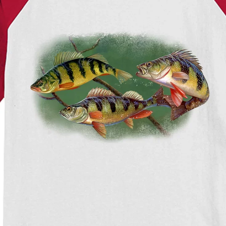 Perch Wild Life Fish Kids Colorblock Raglan Jersey