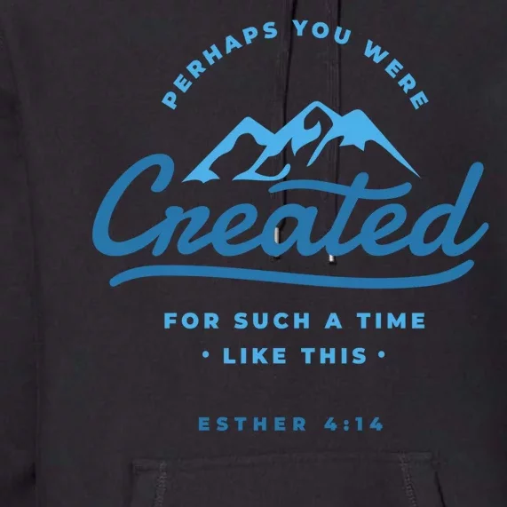 Perhaps You Were Created Bible Verse Premium Hoodie