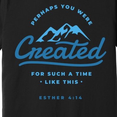 Perhaps You Were Created Bible Verse Premium T-Shirt
