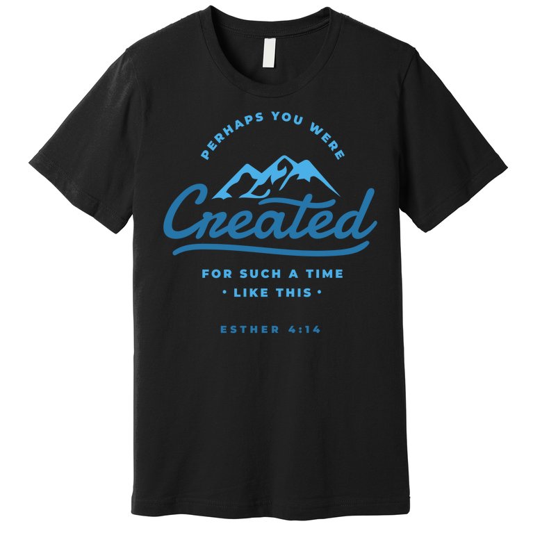 Perhaps You Were Created Bible Verse Premium T-Shirt