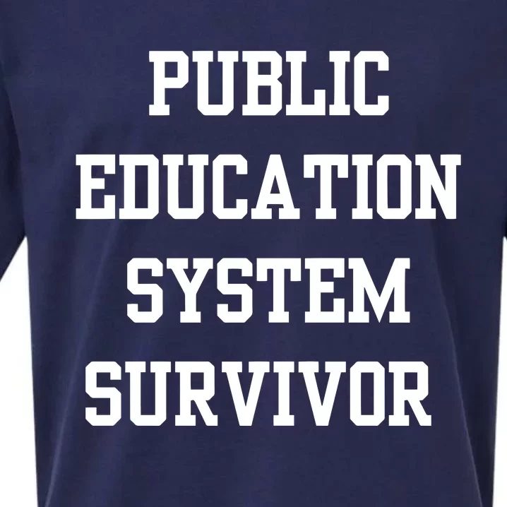 Public Education System Survivor Sueded Cloud Jersey T-Shirt