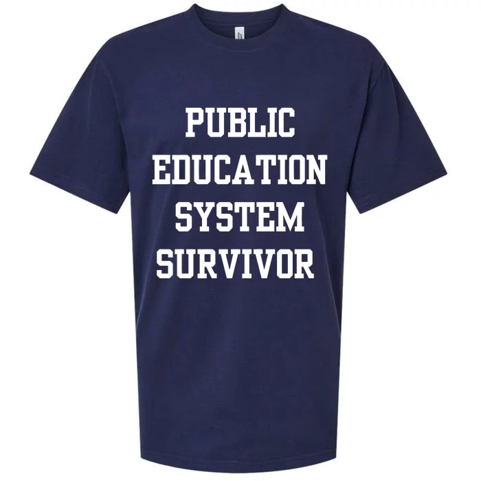 Public Education System Survivor Sueded Cloud Jersey T-Shirt