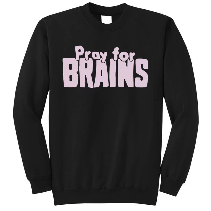 Pray For Brains Sweatshirt