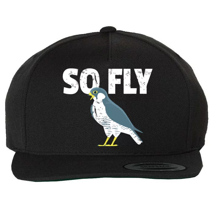 Peregrine Falcon Bird, Birdwatcher Vintage Wool Snapback Cap