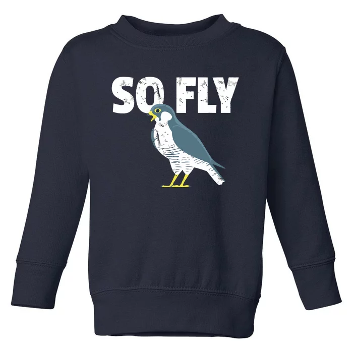 Peregrine Falcon Bird, Birdwatcher Vintage Toddler Sweatshirt