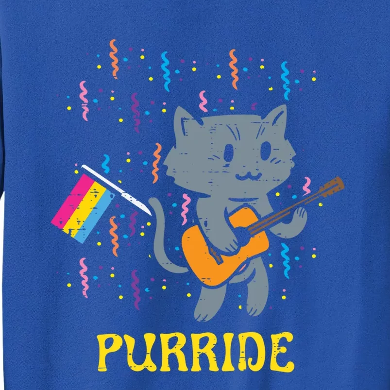 Pansexual Flag Cat Purride Guitar Pan Pride Month Lgbtq Ally Gift Tall Sweatshirt