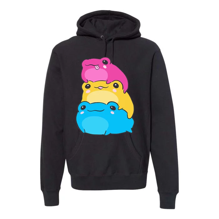 Pansexual Flag Color Frogs Subtle Pan Pride LGBTQ Aesthetic Premium Hoodie