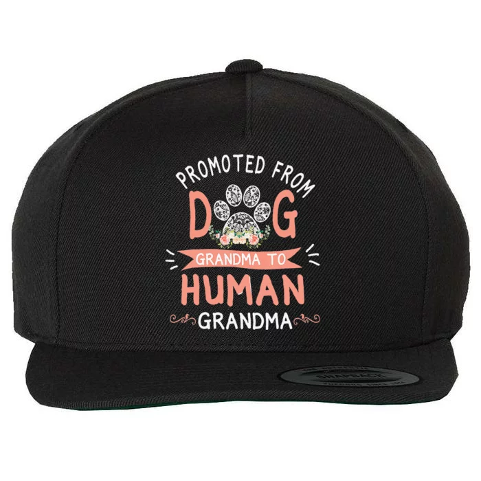 Promoted From Dog Grandma To Human Grandma Mother's Day Wool Snapback Cap