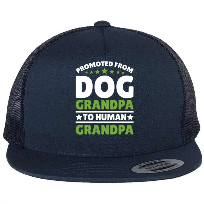 Promoted From Dog Grandpa To Hu Grandpa Gift Flat Bill Trucker Hat