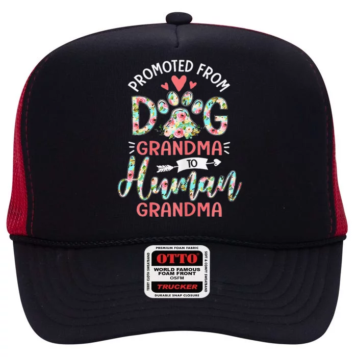 Promoted From Dog Grandma To Human Grandma Mothers Day Gift High Crown Mesh Trucker Hat