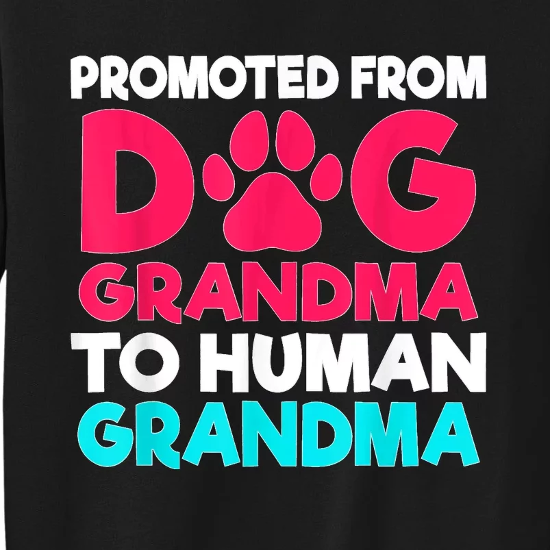 Promoted From Dog Grandma To Human Grandma Family Mother Sweatshirt