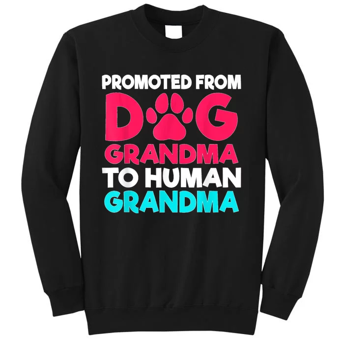 Promoted From Dog Grandma To Human Grandma Family Mother Sweatshirt