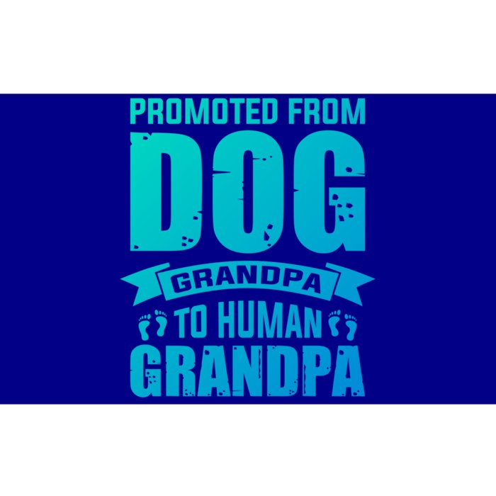 Promoted From Dog Grandpa To Hu Grandpa Cute Gift Bumper Sticker