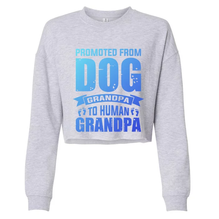 Promoted From Dog Grandpa To Hu Grandpa Cute Gift Cropped Pullover Crew